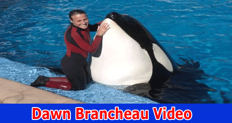 Dawn Brancheau Video: Death Video, Injuries Full Video Graphic Tilikum Kills Trainer