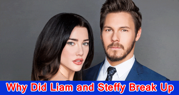 Why Did Liam and Steffy Break Up? Investigating the Exciting bends in the road